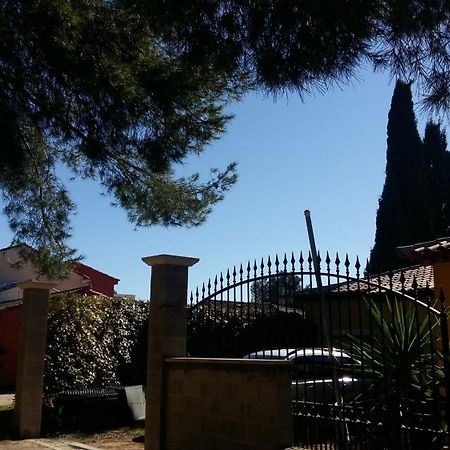 Chambres De La Terre Blanche Sanary-sur-Mer Bilik gambar