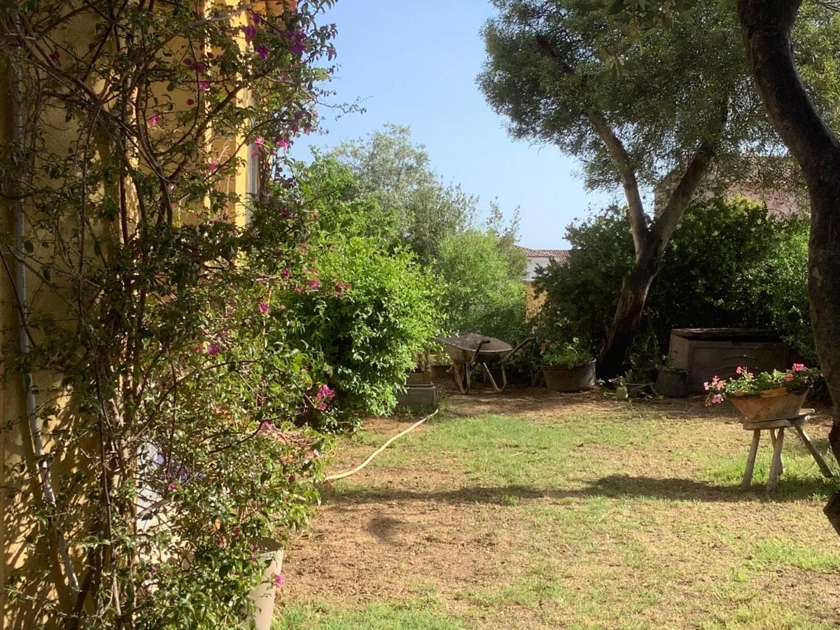 Chambres De La Terre Blanche Sanary-sur-Mer Luaran gambar