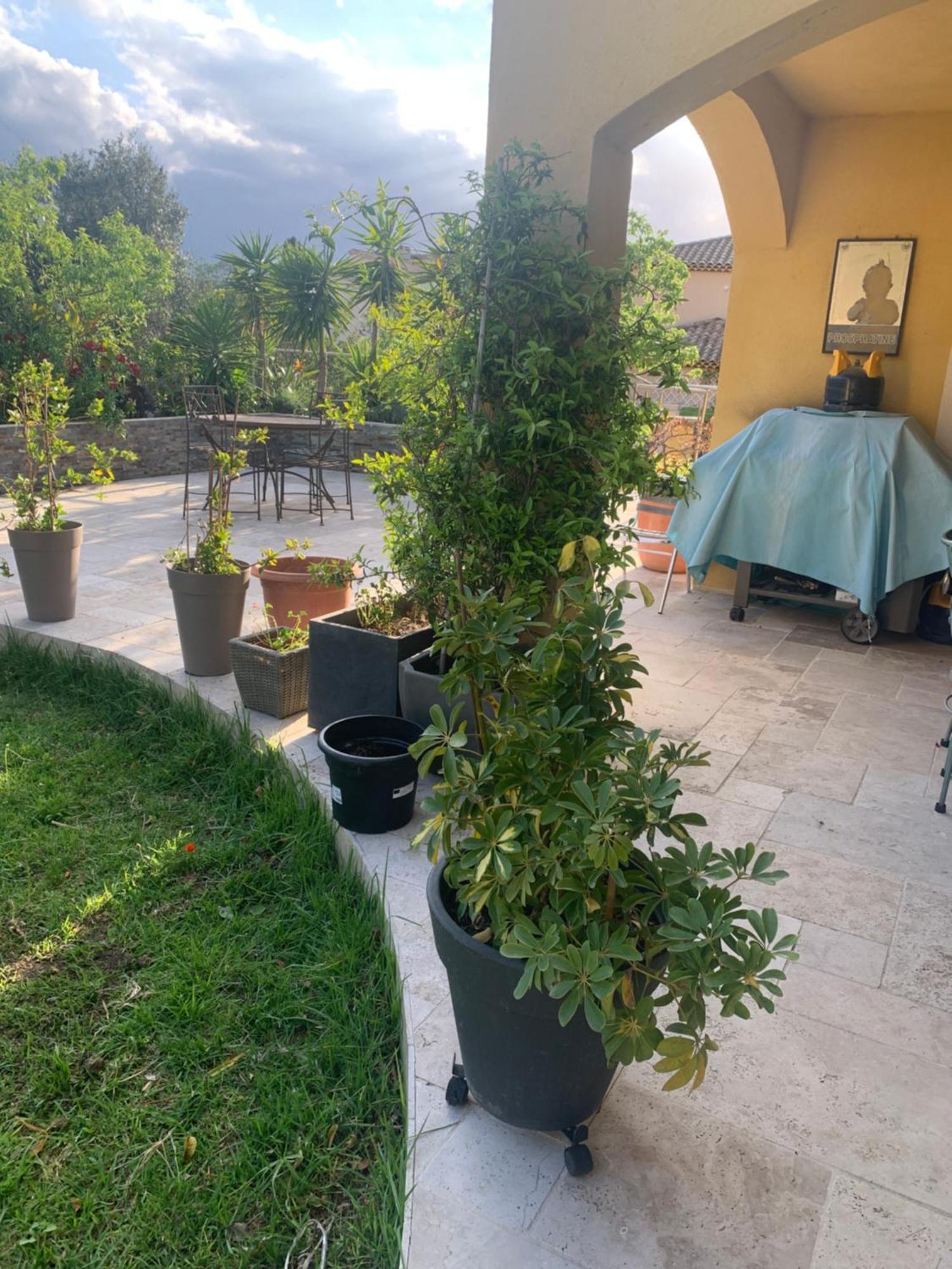 Chambres De La Terre Blanche Sanary-sur-Mer Luaran gambar